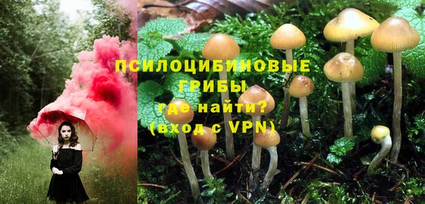 крисы Вяземский
